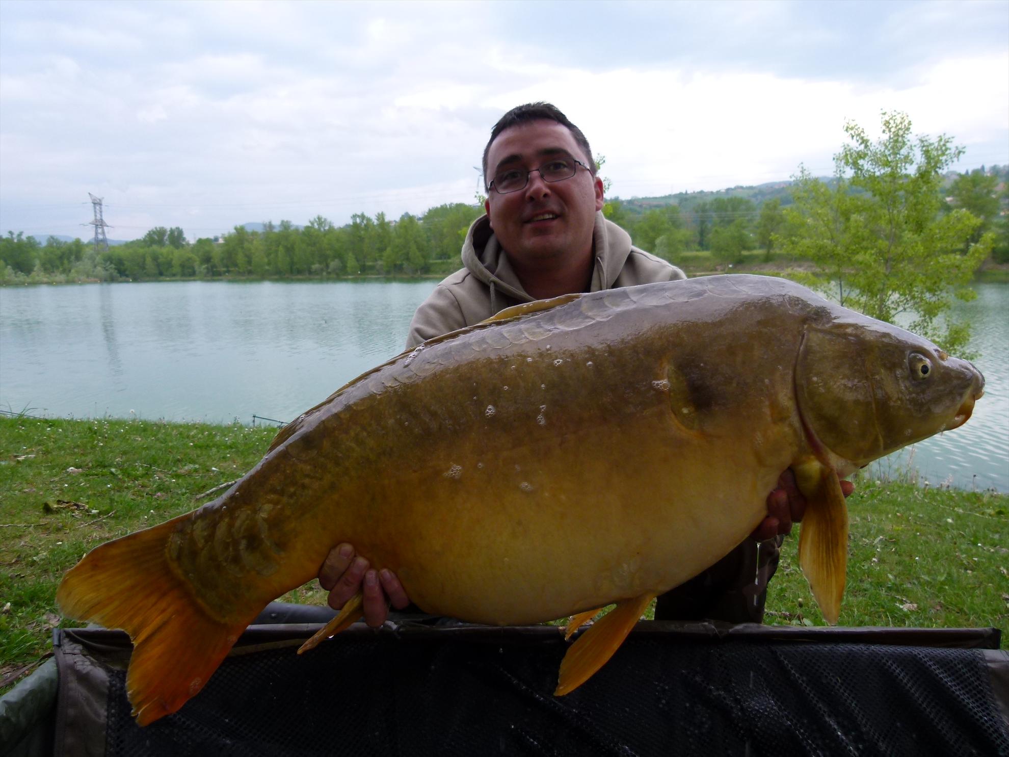 THE BIGS OF 2012 - p1000025.JPG